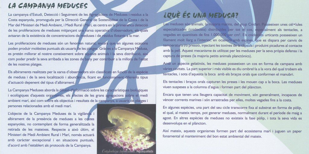 Med_03_04